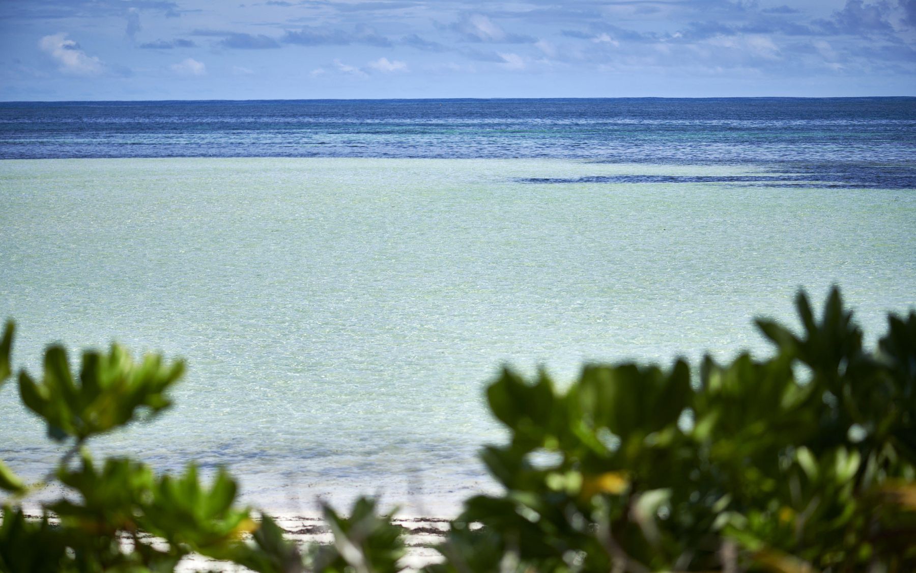 Canopy by Hilton Seychelles — Seychelles resort and accommodation photo 6