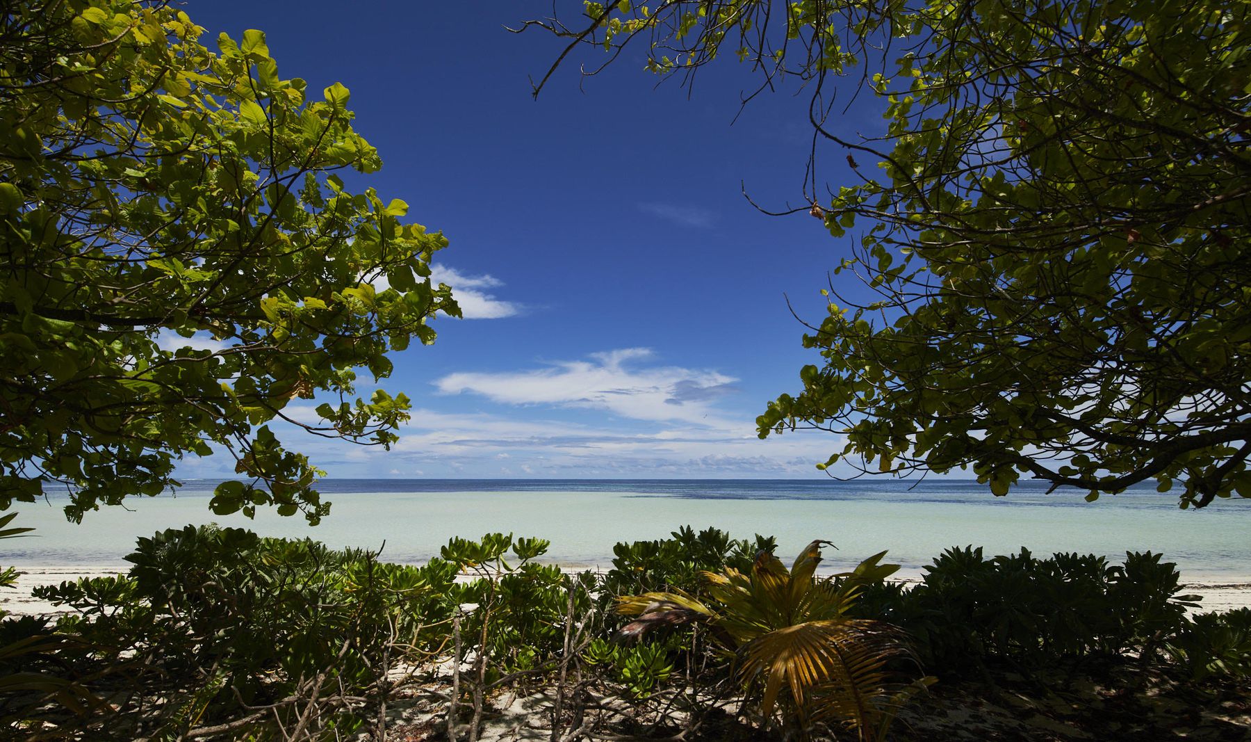 Canopy by Hilton Seychelles — Seychelles luxury hotel package